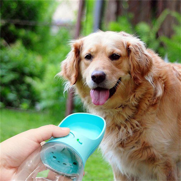 Pet Water Cup Outdoor Portable Water Bottle - Health and Wellness Innovations