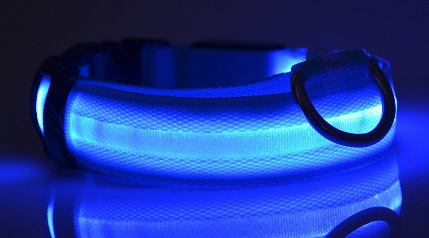 Nylon LED Pet Dog Luminous Collar Night Safety Flashing Glow in Dark Dog Cat Leash Adjustable Pet Supplies - Health and Wellness Innovations