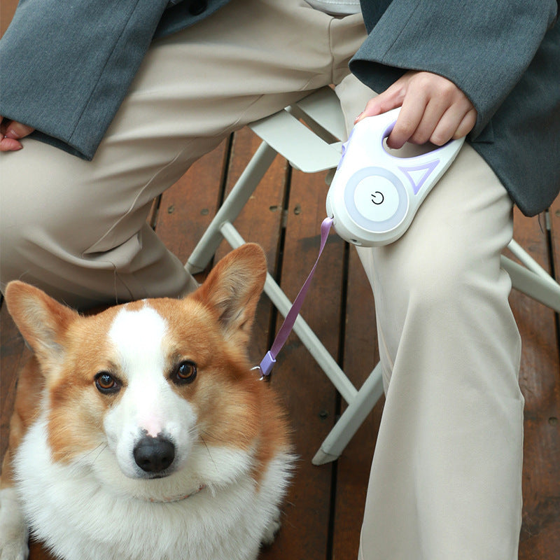Dog Leash Retractable Leash And Dog Collar Spotlight Automatic Pet Dog Cat Traction Rope For Small Medium Dogs Pet Product - Health and Wellness Innovations
