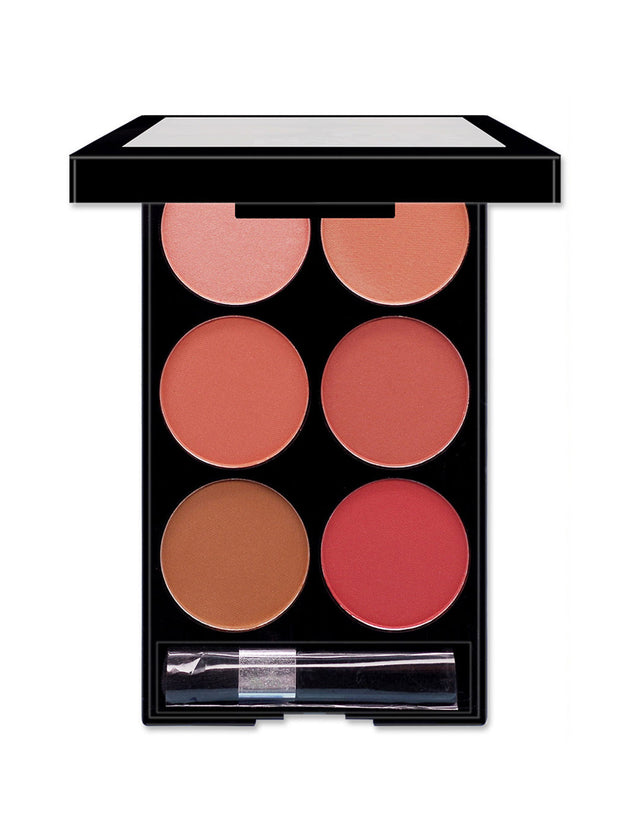 Make-up Multi-color Boutique Domestic Product Six-color Blush Repair Makeup - Health and Wellness Innovations
