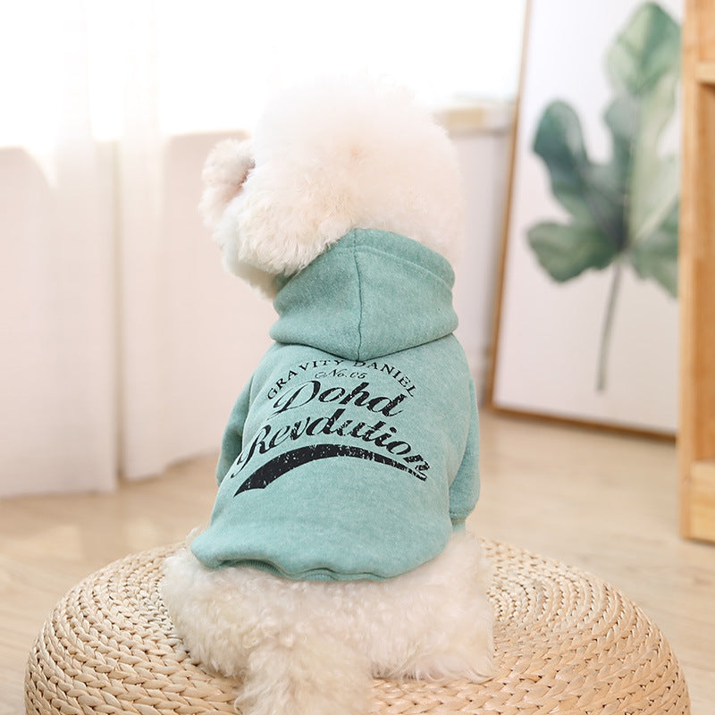 clothes for pets - Health and Wellness Innovations