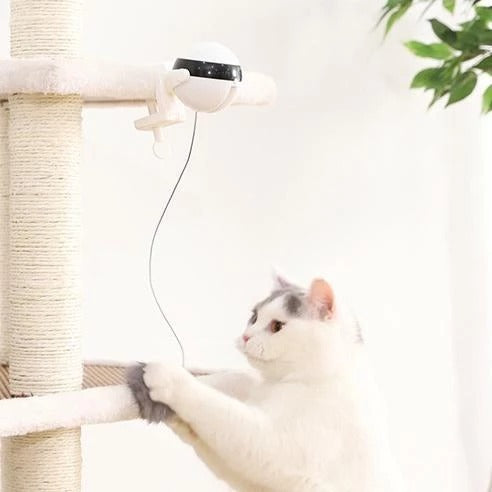 Pet Cat Toy Electronic Motion Cat Toy Interactive - Health and Wellness Innovations