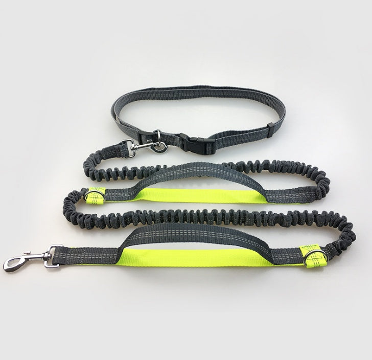 Amazon direct pet supplies multi-function running reflective pull dog leash double elastic dog leash traction - Health and Wellness Innovations