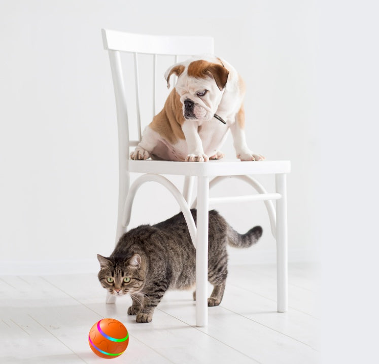 Pet New Cat Wicked Ball Toy Intelligent Ball USB Cat Toys Self Rotating Ball Automatic Rotation Ball - Health and Wellness Innovations