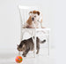 Pet New Cat Wicked Ball Toy Intelligent Ball USB Cat Toys Self Rotating Ball Automatic Rotation Ball - Health and Wellness Innovations