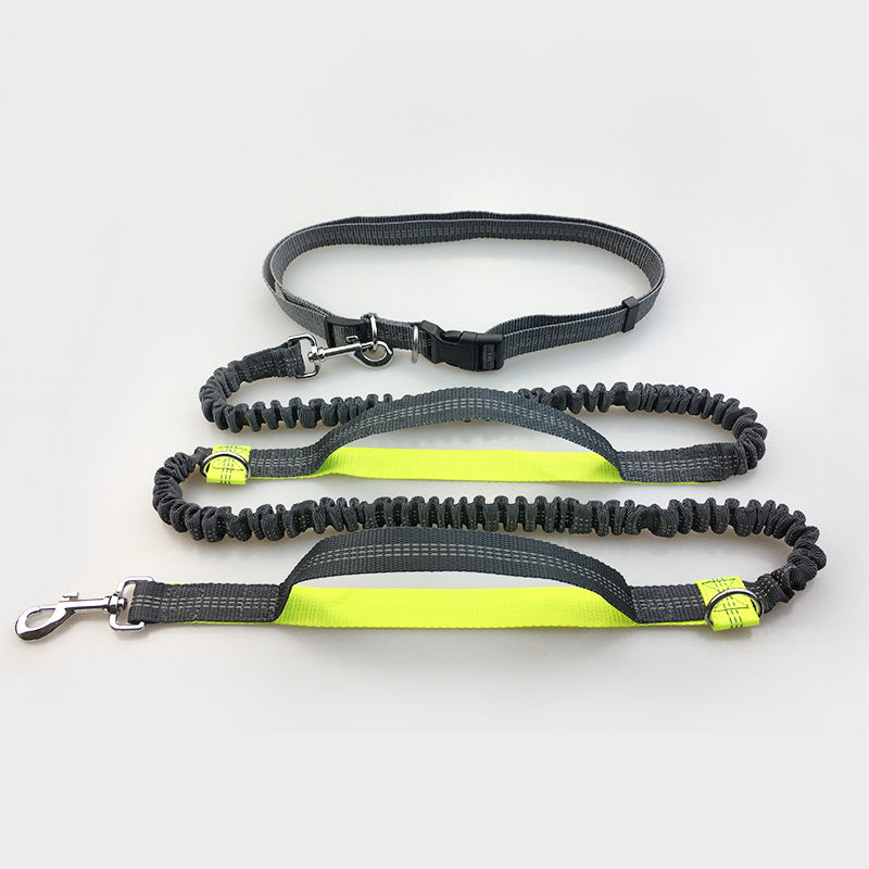 Amazon direct pet supplies multi-function running reflective pull dog leash double elastic dog leash traction - Health and Wellness Innovations