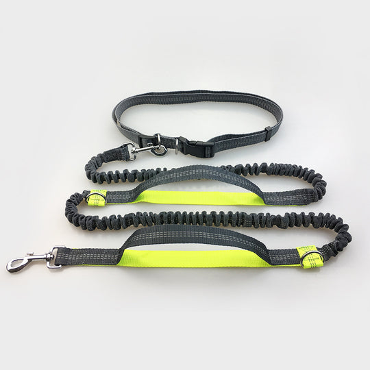 Amazon direct pet supplies multi-function running reflective pull dog leash double elastic dog leash traction - Health and Wellness Innovations