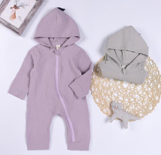Dinosaur hoodie - Health and Wellness Innovations