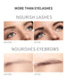 Eyebrow Growth Serum Nourishing Follicles Lashes Enhancer Thick Eyelash Nutrition Liquid Extension Intensive Lengthening 2024 - Health and Wellness Innovations