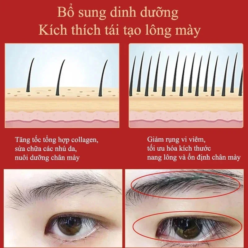 Eyebrow Growth Serum Fast Growing  Eyelash Prevent Hair Loss Damaged Treatment Thick Dense Eyes Makeup Care Products 2023 - Health and Wellness Innovations