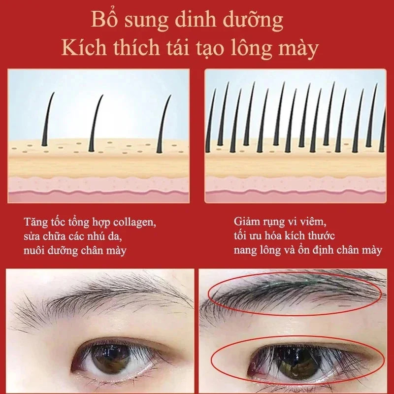 Eyebrow Growth Serum Fast Growing  Eyelash Prevent Hair Loss Damaged Treatment Thick Dense Eyes Makeup Care Products 2023 - Health and Wellness Innovations
