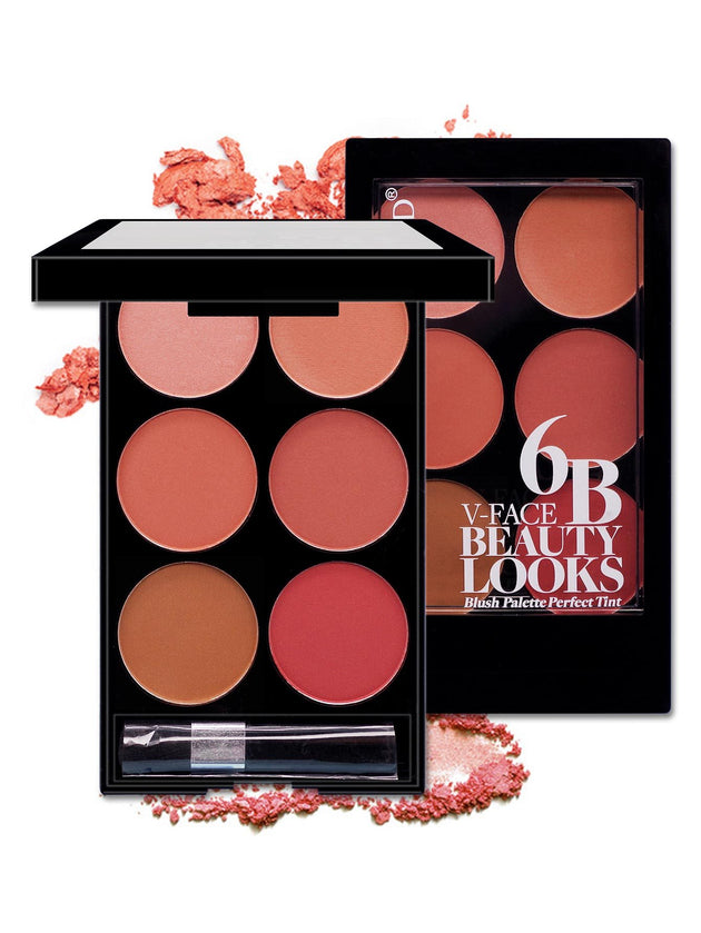 Make-up Multi-color Boutique Domestic Product Six-color Blush Repair Makeup - Health and Wellness Innovations
