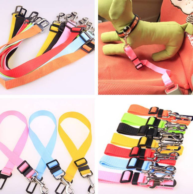 Fixed Strap Polyester Dog Strap Dog Leash Dog Leash - Health and Wellness Innovations