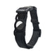 Pet Products Mobile Phone Tracker Protector - Health and Wellness Innovations