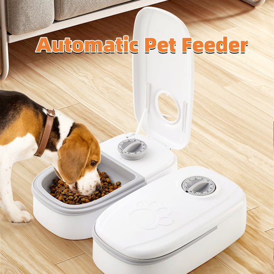 Automatic Pet Feeder Smart Food Dispenser For Cats Dogs Timer Stainless Steel Bowl Auto Dog Cat Pet Feeding Pets Supplies - Health and Wellness Innovations