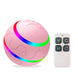 Pet New Cat Wicked Ball Toy Intelligent Ball USB Cat Toys Self Rotating Ball Automatic Rotation Ball - Health and Wellness Innovations