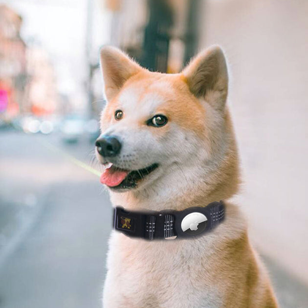 Pet Products Mobile Phone Tracker Protector - Health and Wellness Innovations